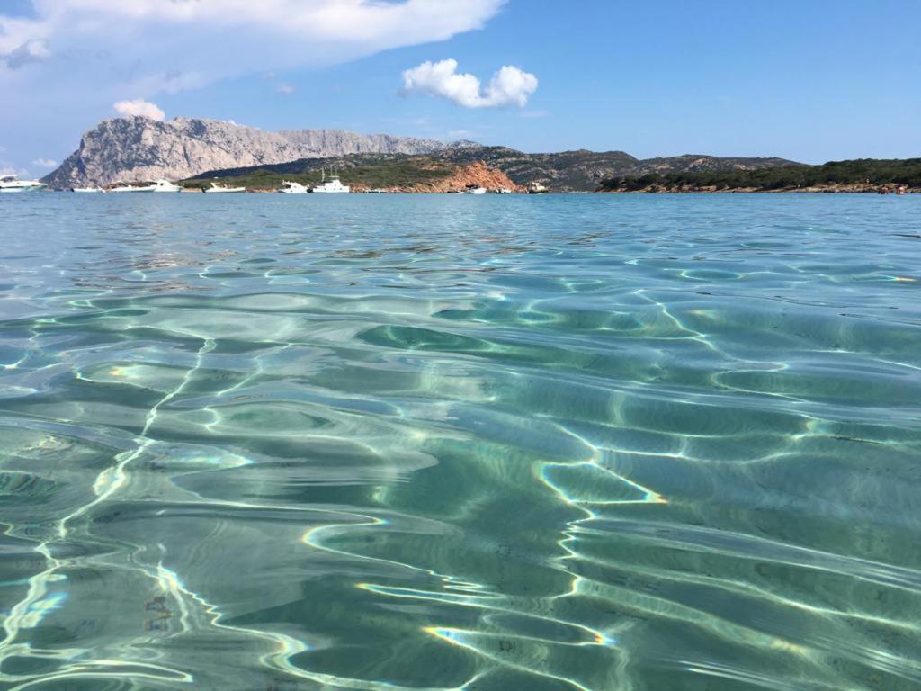 Il Bouganville A 150M Dalla Spiaggia Con Vista Sulla Splendida Baia Di Porto Raphael Palau Exterior foto